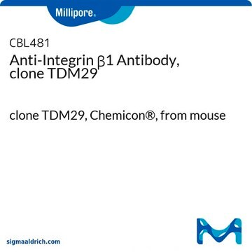 Anti-Integrin &#946;1 Antibody, clone TDM29 clone TDM29, Chemicon&#174;, from mouse