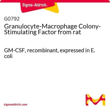 Granulocyte-Macrophage Colony-Stimulating Factor from rat GM-CSF, recombinant, expressed in E. coli