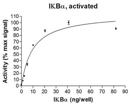 IkBa Protein, activated, 10 &#181;g Activated, full length, recombinant human I&#954;B&#945;. N-terminal c-Myc, 6His-tagged. Phosphorylated in vitro using IKK&#945;, active. For use in Enzyme Assays. Behaves as a substrate in ubiquitin assays.