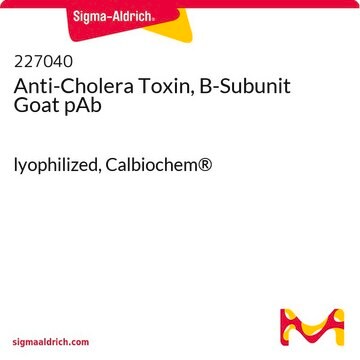 Anti-Cholera Toxin, B-Subunit Goat pAb lyophilized, Calbiochem&#174;