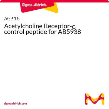 Acetylcholine Receptor-&#949;, control peptide for AB5938