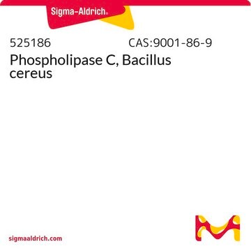 Phospholipase C, Bacillus cereus