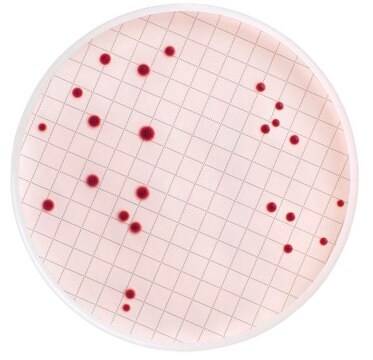 KF Agar (Dehydrated) without TTC indicator For testing waters and foods for fecal streptococci (enterococci)