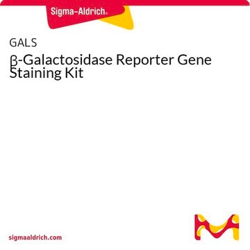 &#946;-Galactosidase Reporter Gene Staining Kit