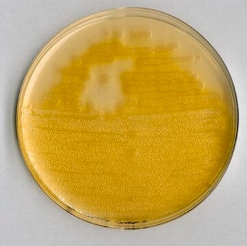 Pseudomonas agar F (base) for microbiology