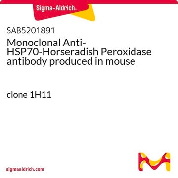 Monoclonal Anti-HSP70-Horseradish Peroxidase antibody produced in mouse clone 1H11