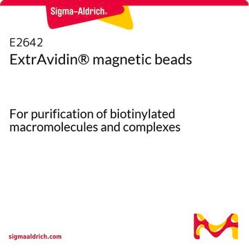 ExtrAvidin&#174; magnetic beads For purification of biotinylated macromolecules and complexes