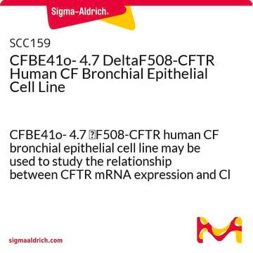 CFBE41o- 4.7 DeltaF508-CFTR Human CF Bronchial Epithelial Cell Line CFBE41o- 4.7 &#916;F508-CFTR human CF bronchial epithelial cell line may be used to study the relationship between CFTR mRNA expression and Cl transport function.