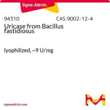 Uricase from Bacillus fastidiosus lyophilized, ~9&#160;U/mg