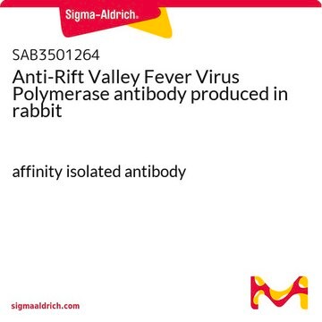 Anti-Rift Valley Fever Virus Polymerase antibody produced in rabbit affinity isolated antibody