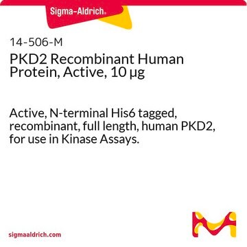 PKD2 Recombinant Human Protein, Active, 10 &#181;g Active, N-terminal His6 tagged, recombinant, full length, human PKD2, for use in Kinase Assays.