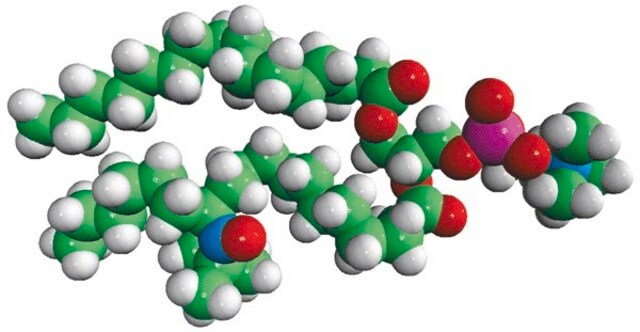 16:0-12 Doxyl PC Avanti Research&#8482; - A Croda Brand 810600P, powder