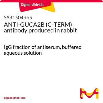 ANTI-GUCA2B (C-TERM) antibody produced in rabbit IgG fraction of antiserum, buffered aqueous solution