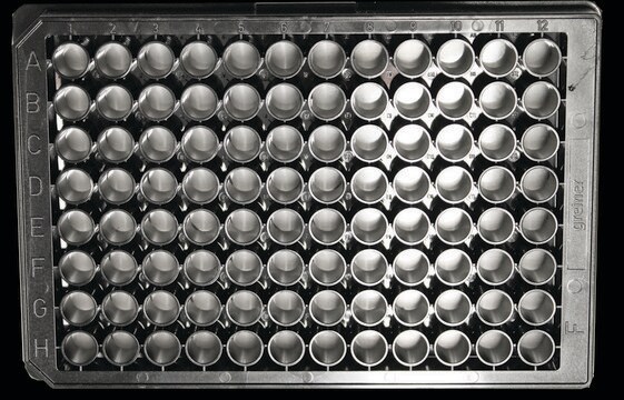 Nanofiber multiwell plate, with aligned nanofibers size 96&#160;wells