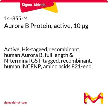 Aurora B Protein, active, 10 &#181;g Active, His-tagged, recombinant, human Aurora B, full length &amp; N-terminal GST-tagged, recombinant, human INCENP, amino acids 821-end, for use in Kinase Assays.