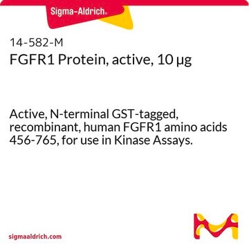 FGFR1 Protein, active, 10 &#181;g Active, N-terminal GST-tagged, recombinant, human FGFR1 amino acids 456-765, for use in Kinase Assays.