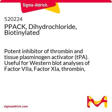 PPACK, Dihydrochloride, Biotinylated Potent inhibitor of thrombin and tissue plasminogen activator (tPA). Useful for Western blot analyses of Factor VIIa, Factor XIa, thrombin, and tPA.