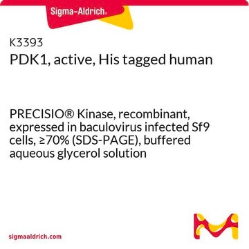 PDK1, active, His tagged human PRECISIO&#174; Kinase, recombinant, expressed in baculovirus infected Sf9 cells, &#8805;70% (SDS-PAGE), buffered aqueous glycerol solution