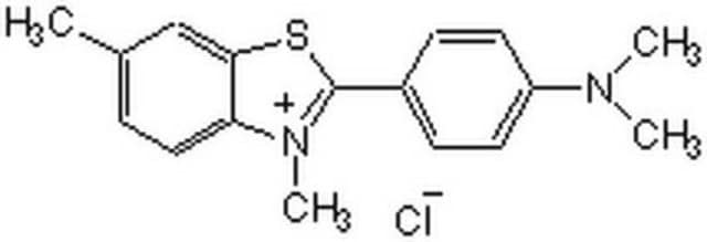 Thioflavin T A cell-permeable benzothiazole dye that exhibits enhanced fluorescence upon binding to amyloid fibrils.