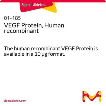 VEGF Protein, Human recombinant The human recombinant VEGF Protein is available in a 10 &#181;g format.