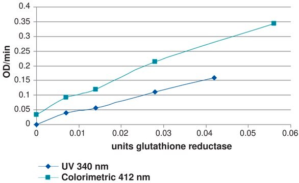 Glutathione Reductase Assay Kit Sufficient for 100 colorimetric tests