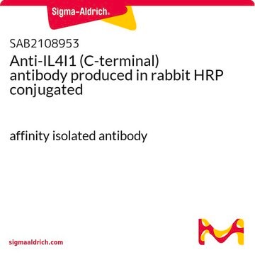 Anti-IL4I1 (C-terminal) antibody produced in rabbit HRP conjugated affinity isolated antibody