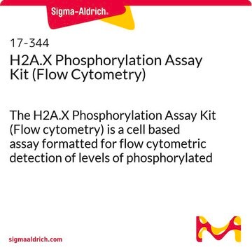 H2A.X Phosphorylation Assay Kit (Flow Cytometry) The H2A.X Phosphorylation Assay Kit (Flow cytometry) is a cell based assay formatted for flow cytometric detection of levels of phosphorylated Histone H2A.X.