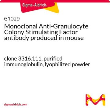 Monoclonal Anti-Granulocyte Colony Stimulating Factor antibody produced in mouse clone 3316.111, purified immunoglobulin, lyophilized powder