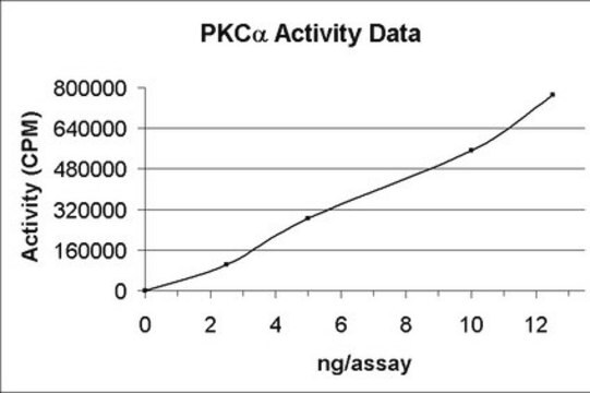 PKC&#945; Protein, active, 10 &#181;g Active, recombinant, full-length human PKC&#945;, containing N-terminal His6 tag. For use in Kinase Assays.