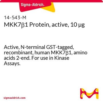 MKK7&#946;1 Protein, active, 10 &#181;g Active, N-terminal GST-tagged, recombinant, human MKK7&#946;1, amino acids 2-end. For use in Kinase Assays.