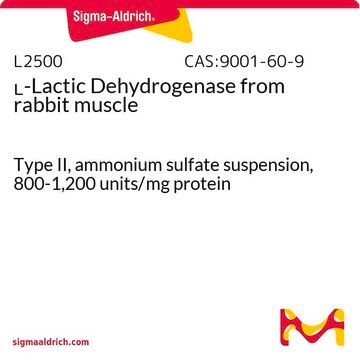 L-Lactic Dehydrogenase from rabbit muscle Type II, ammonium sulfate suspension, 800-1,200&#160;units/mg protein