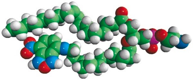 18:1-12:0 NBD PE Avanti Research&#8482; - A Croda Brand 810156P, powder