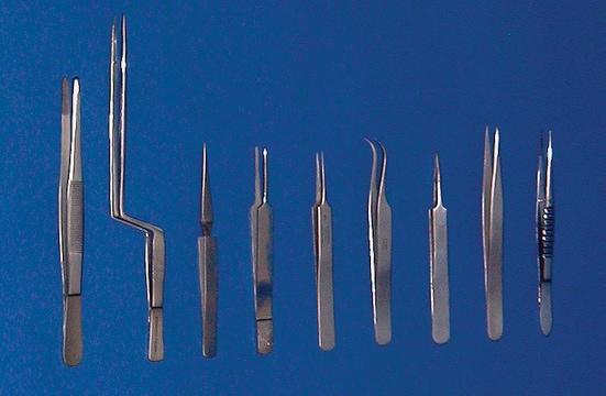 Stainless steel forceps Specimen, L 12&#160;in.