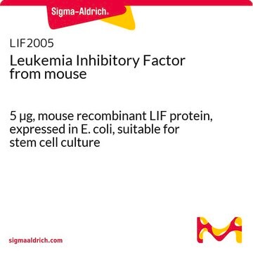 Leukemia Inhibitory Factor from mouse 5 &#181;g, mouse recombinant LIF protein, expressed in E. coli, suitable for stem cell culture