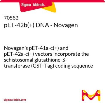 pET-42b(+) DNA - Novagen Novagen&#8242;s pET-41a-c(+) and pET-42a-c(+) vectors incorporate the schistosomal glutathione-S-transferase (GST-Tag) coding sequence as a fusion partner.