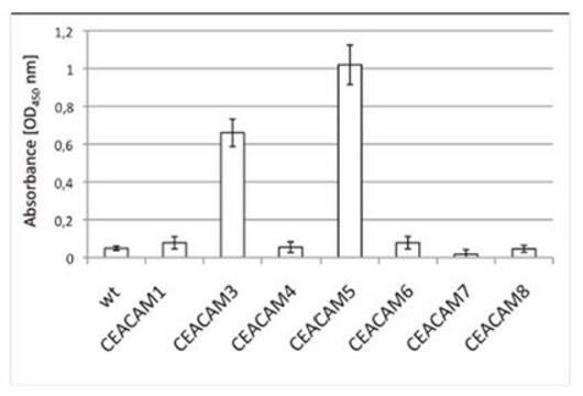 Anti-CEACAM3/5 Antibody, clone 308/3-3 clone 308/3-3, from mouse