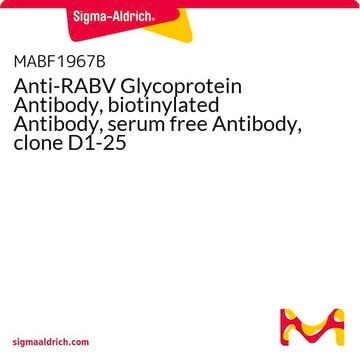 Anti-RABV Glycoprotein Antibody, biotinylated Antibody, serum free Antibody, clone D1-25