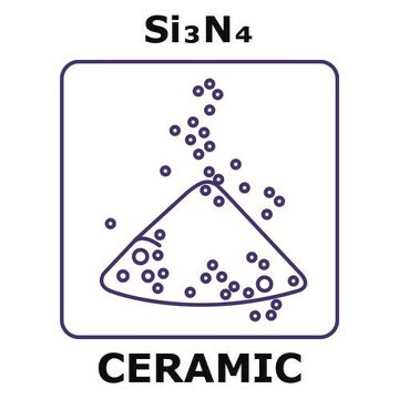 Silicon nitride powder, 10 max. part. size (micron), weight 1000&#160;g, condition alpha si3n4 (85% minimum)