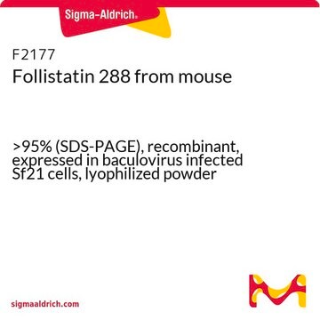 Follistatin 288 from mouse &gt;95% (SDS-PAGE), recombinant, expressed in baculovirus infected Sf21 cells, lyophilized powder