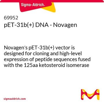 pET-31b(+) DNA - Novagen Novagen&#8242;s pET-31b(+) vector is designed for cloning and high-level expression of peptide sequences fused with the 125aa ketosteroid isomerase protein.