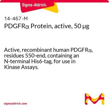 PDGFR&#945; Protein, active, 50 &#181;g Active, recombinant human PDGFR&#945;, residues 550-end, containing an N-terminal His6-tag, for use in Kinase Assays.