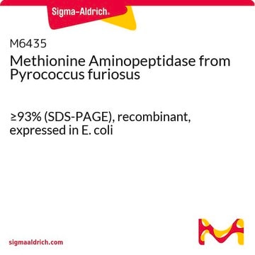 Methionine Aminopeptidase from Pyrococcus furiosus &#8805;93% (SDS-PAGE), recombinant, expressed in E. coli