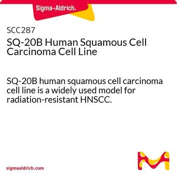 SQ-20B Human Squamous Cell Carcinoma Cell Line SQ-20B human squamous cell carcinoma cell line is a widely used model for radiation-resistant HNSCC.