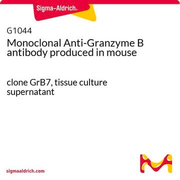 Monoclonal Anti-Granzyme B antibody produced in mouse clone GrB7, tissue culture supernatant