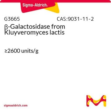 β-ガラクトシダーゼ Kluyveromyces lactis由来 &#8805;2600&#160;units/g