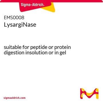 LysargiNase suitable for peptide or protein digestion insolution or in gel