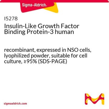 Insulin-Like Growth Factor Binding Protein-3 human recombinant, expressed in NSO cells, lyophilized powder, suitable for cell culture, &#8805;95% (SDS-PAGE)