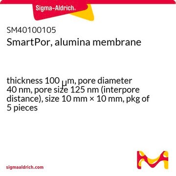 SmartPor, alumina membrane thickness 100&#160;&#956;m, pore diameter 40&#160;nm, pore size 125&#160;nm (interpore distance), size 10&#160;mm × 10&#160;mm, pkg of 5&#160;pieces