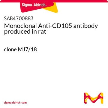 Monoclonal Anti-CD105 antibody produced in rat clone MJ7/18