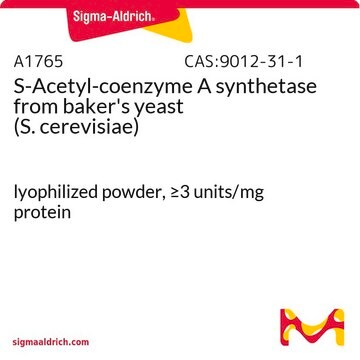 S-Acetyl-coenzyme&#160;A synthetase from baker’s yeast (S.&#160;cerevisiae) lyophilized powder, &#8805;3&#160;units/mg protein